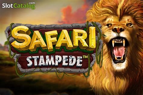Safari Stampede Review 2024